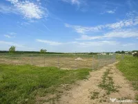 Teren Constructii 2000 mp Grădiștea Comana 