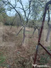 Casă de vânzare 43 mp + Anexa 41 mp, 2142 mp teren - Comun 