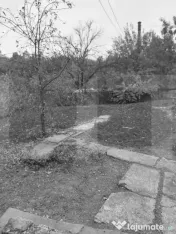 Casă de vânzare 43 mp + Anexa 41 mp, 2142 mp teren - Comun 