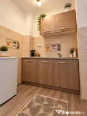 Apartament 1 camera, mobilat 22 mp, etaj 3 - Buziasului 