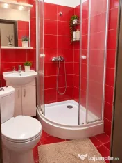 Apartament 1 camera, mobilat 22 mp, etaj 3 - Buziasului 