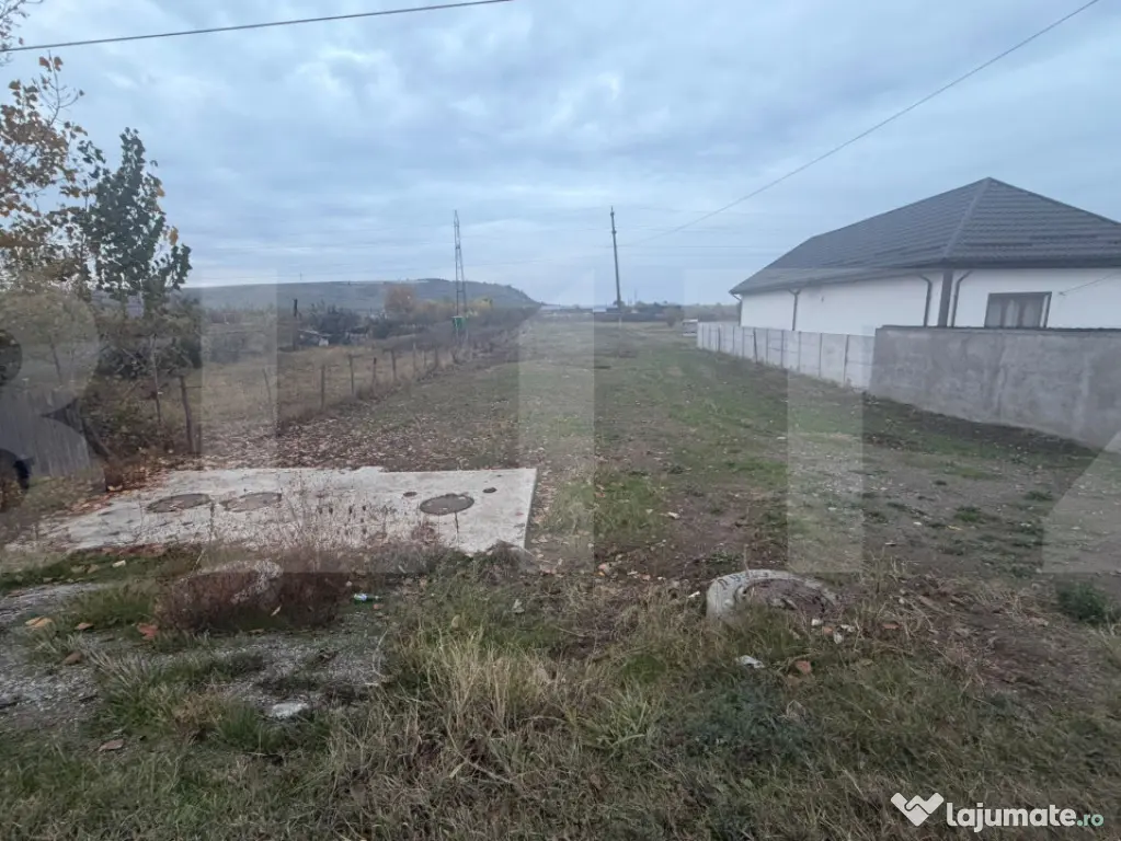 Teren intravilan 5.000 mp în Breasta, Craiova la DN - Craiova (Dolj)