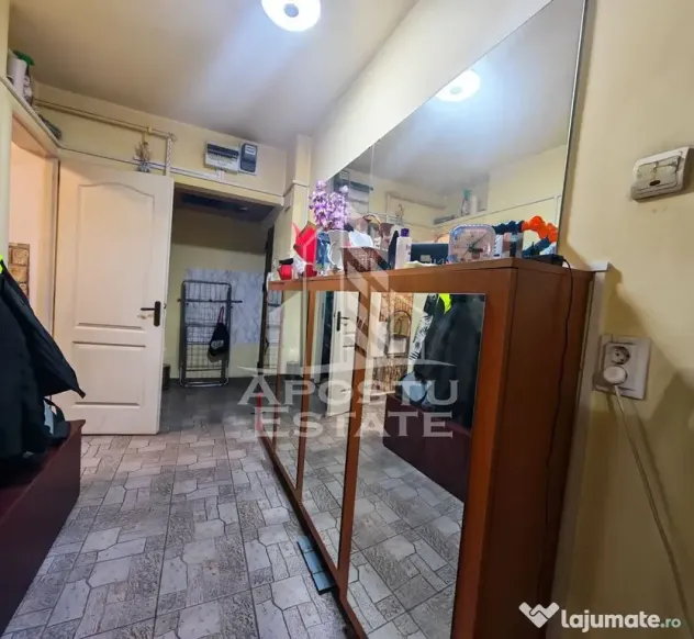 Apartament cu 3 camere, de vanzare, etaj intermediar, zona Dacia - Timisoara (Timis)