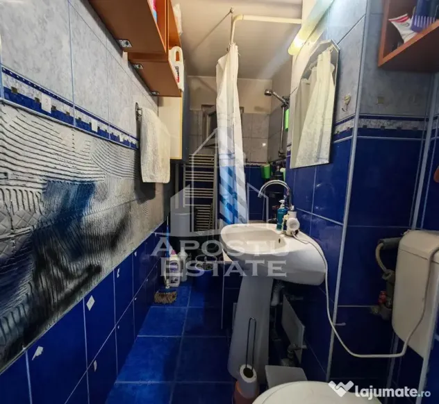Apartament cu 3 camere, de vanzare, etaj intermediar, zona Dacia - Timisoara (Timis)