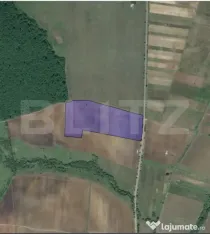 Teren agricol 40.000 mp, ideal pentru cultură de afine –