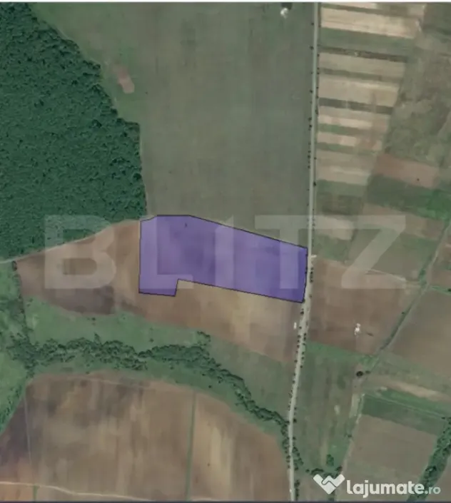 Teren agricol 40.000 mp, ideal pentru cultură de afine – - Martinesti (Hunedoara)