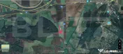 Teren agricol 40.000 mp, ideal pentru cultură de afine – 