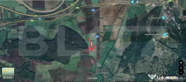 Teren agricol 40.000 mp, ideal pentru cultură de afine – - Martinesti (Hunedoara)