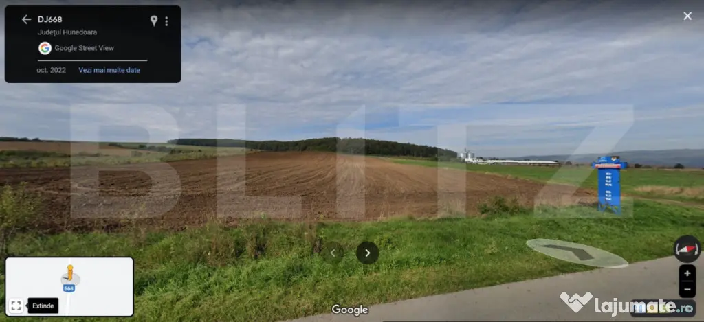 Teren agricol 40.000 mp, ideal pentru cultură de afine – - Martinesti (Hunedoara)