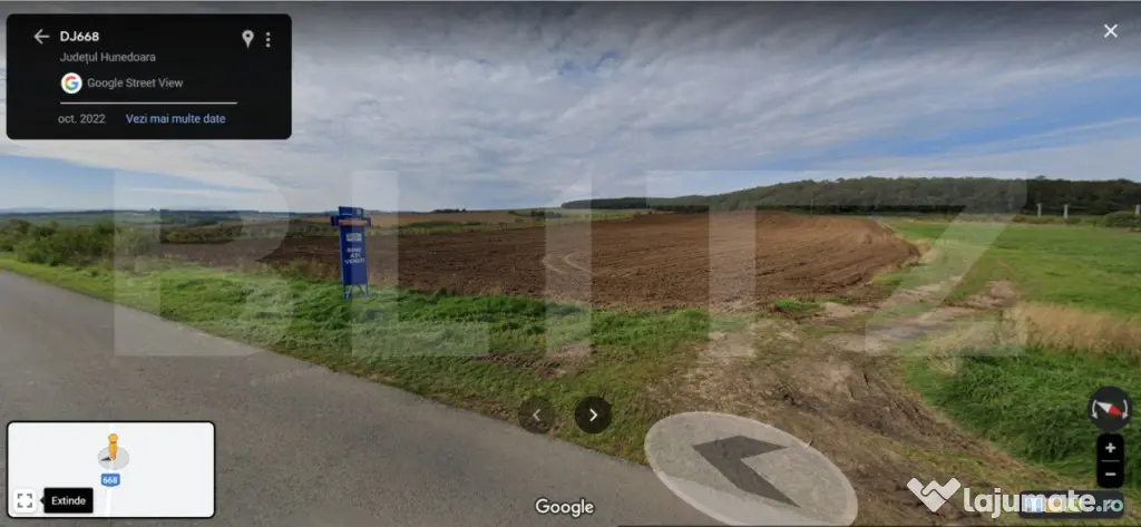 Teren agricol 40.000 mp, ideal pentru cultură de afine – - Martinesti (Hunedoara)