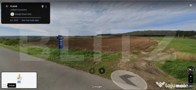 Teren agricol 40.000 mp, ideal pentru cultură de afine – - Martinesti (Hunedoara)
