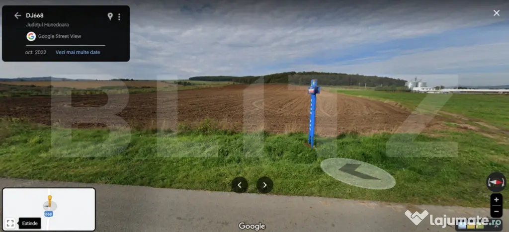 Teren agricol 40.000 mp, ideal pentru cultură de afine – - Martinesti (Hunedoara)