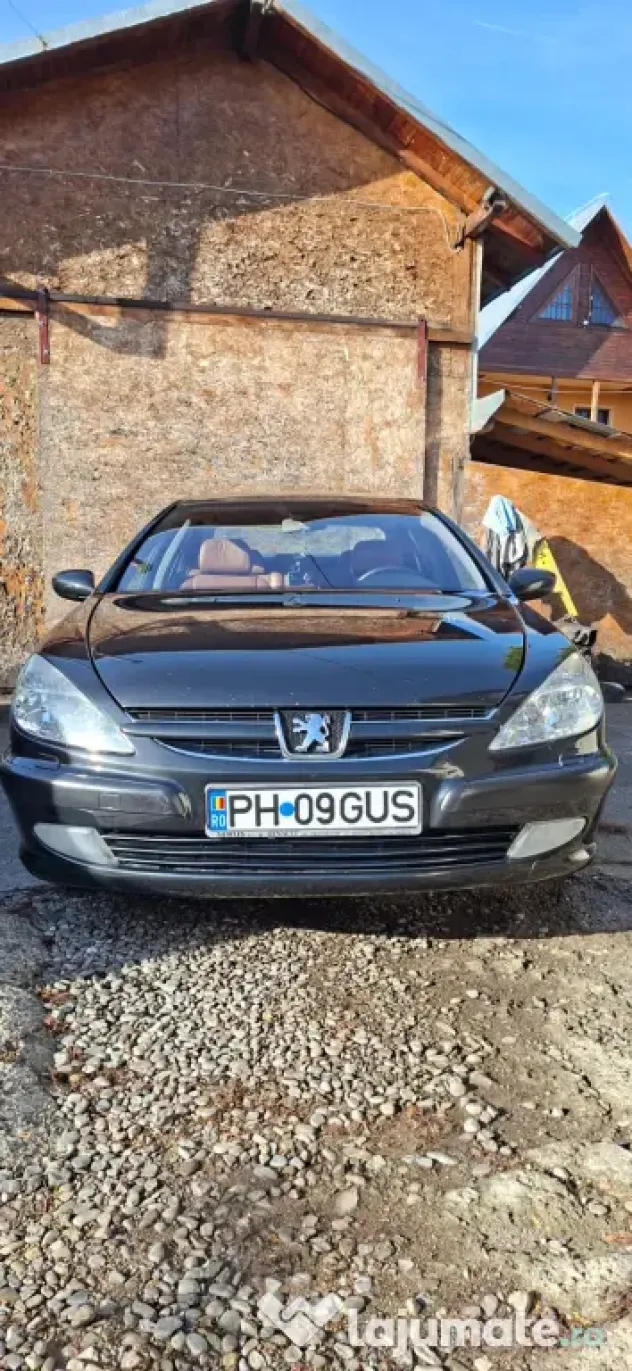 Vand Peugeot 607