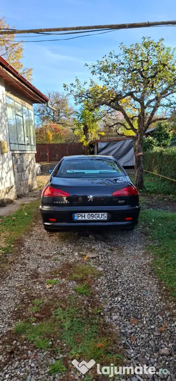 Vand Peugeot 607