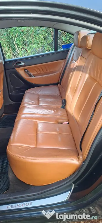 Vand Peugeot 607