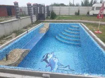 Casa partial la rosu , piscina , filigorie , 2600 mp teren