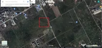 Teren Baneasa 17036 Mp Piscul Lung