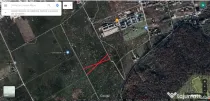 Teren Baneasa Piscul Reghiului 2.500 mp -10.000 Mp New