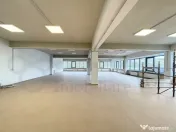 Spatiu birouri sau productie, recent renovat, Bdul Muncii 