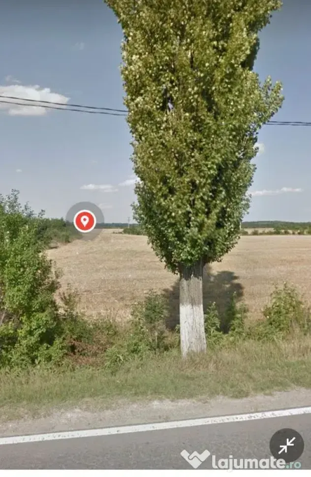 Teren intravilan 80975 mp in Crevedia