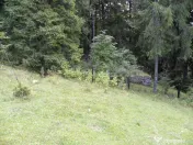 Teren intravilan Predeal 