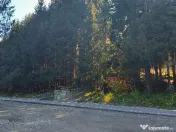 Teren intravilan Predeal 