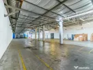 Inchiriez hala 6000 MP zona Vlaicu - ID : RH-33186-property