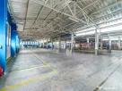 Inchiriez hala 6000 MP zona Vlaicu - ID : RH-33186-property