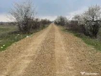 Teren Piscul Mosului 1000 mp New 2026