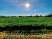 Teren Santuhalm-Deva 