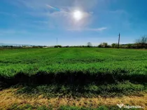 Teren Santuhalm-Deva