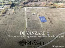 Teren 1000 mp, curent trifazic si fantana Valea Avrigului