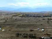 Teren 1000 mp, curent trifazic si fantana Valea Avrigului 