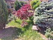 Proprietate Ultracentral 