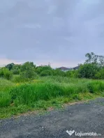 T.Magheraus, zona buna, 17 ari teren