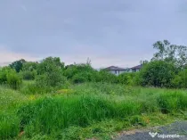 T.Magheraus, zona buna, 17 ari teren