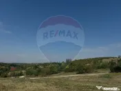 Teren de Vânzare, Intravilan, 5511 mp, în Zona de Dealu...