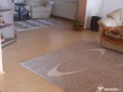 Sat Sasar, casa finisata, 6 ari teren 