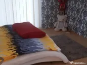 Sat Sasar, casa finisata, 6 ari teren 