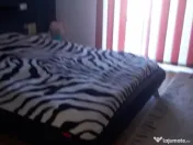 Sat Sasar, casa finisata, 6 ari teren 