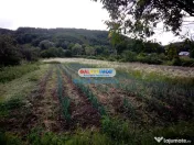 Teren intravilan comuna Bogati sat Birloi Jud. Arges 