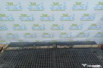 Cardan 2.0 dci M9R 760  Nissan X-Trail T31 (facelift) [2010 - 2014]