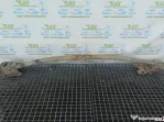 Arc spate 2.3 dci Opel Movano B [2010 - 2014]