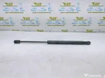 Amortizor telescop haion 8200119497 Renault Megane 2 [2002 - 2006]