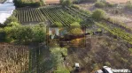Teren intravilan Tecuci/Podgorie si Pomi Fructiferi/5000 mp