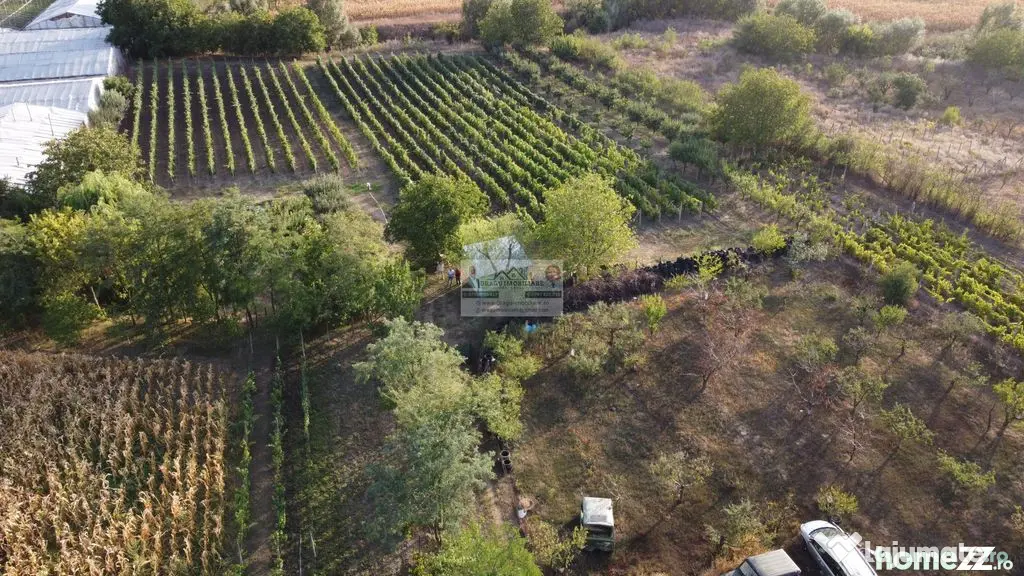 Teren intravilan Tecuci/Podgorie si Pomi Fructiferi/5000 mp