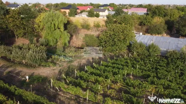 Teren intravilan Tecuci/Podgorie si Pomi Fructiferi/5000 mp