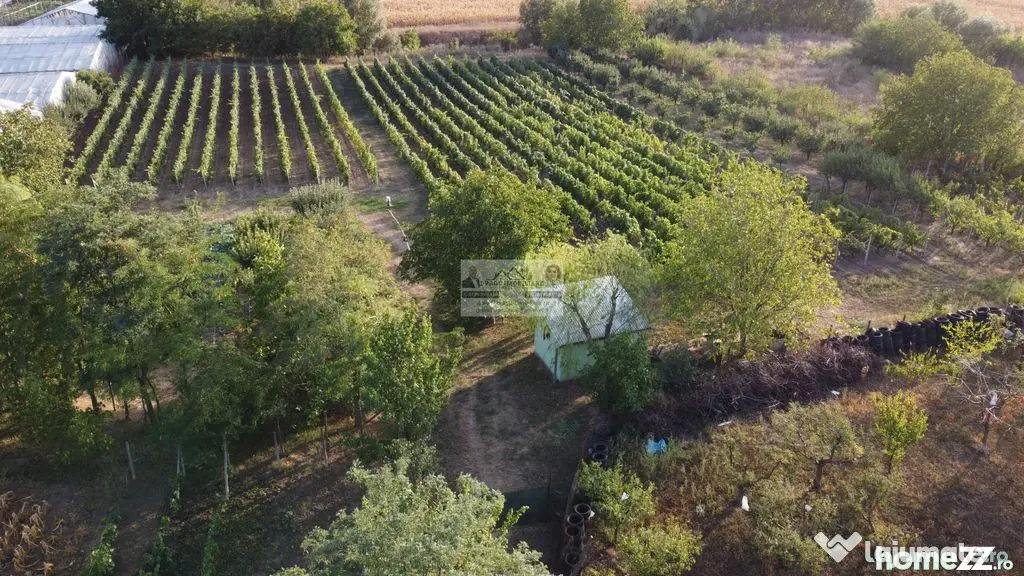 Teren intravilan Tecuci/Podgorie si Pomi Fructiferi/5000 mp