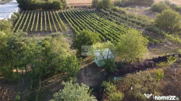 Teren intravilan Tecuci/Podgorie si Pomi Fructiferi/5000 mp