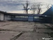 Hale + platforma betonata mp Giurgiului ( Zetari ) 
